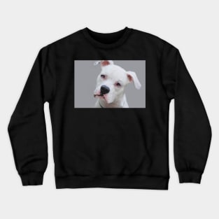 Canine Portrait Crewneck Sweatshirt